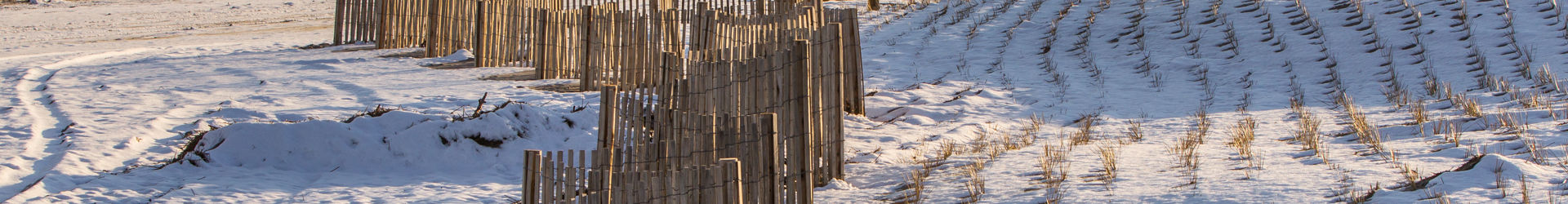 Surf City, Njshutterstock 392113921